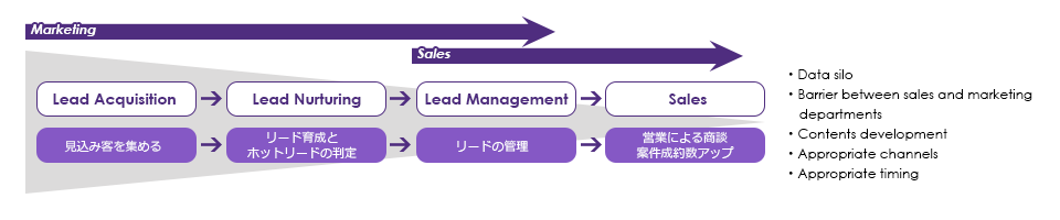marketing and Sales Process